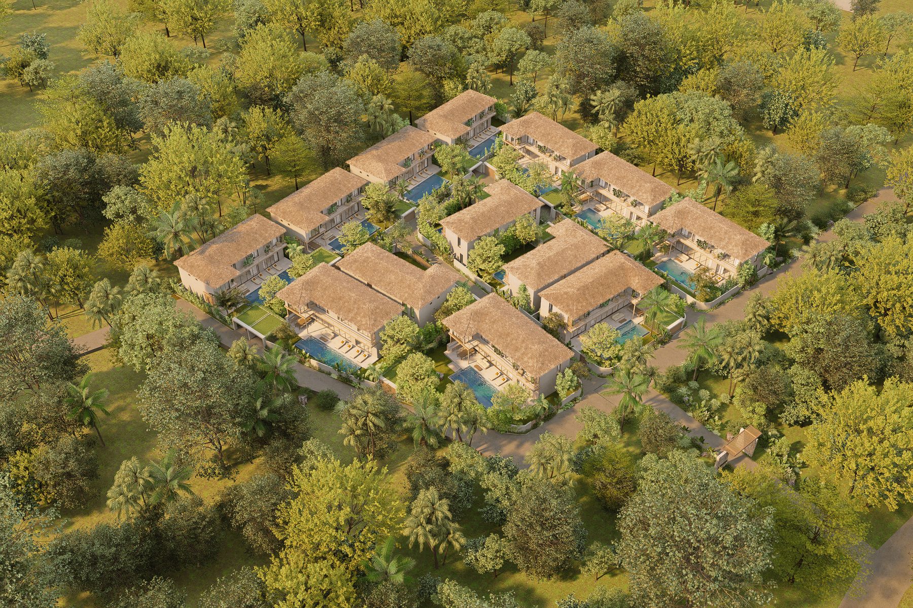 Aerial view of the Pacific Noma development